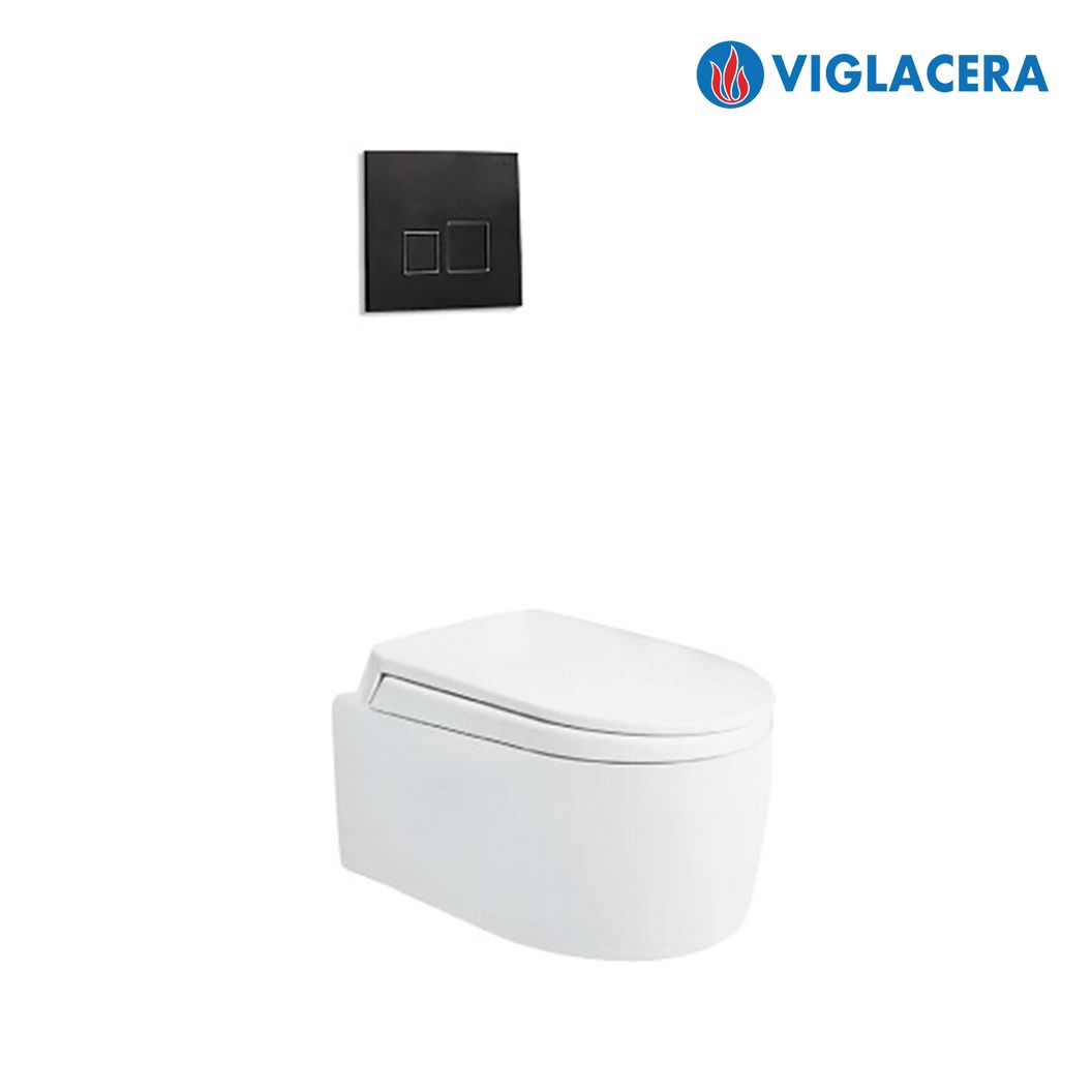 Bồn cầu sứ VIGLACERA V55